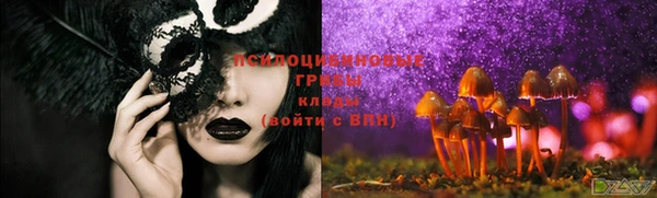 дживик Елабуга