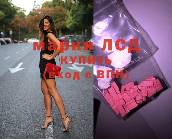 гашик Дмитров