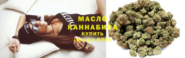 гидра Елизово