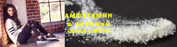гидра Елизово