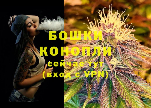 гашик Дмитров