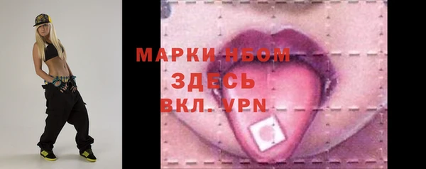 2c-b Ельня