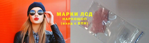 дживик Елабуга