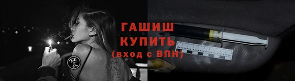 2c-b Ельня