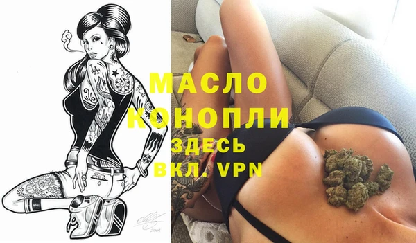 дживик Елабуга