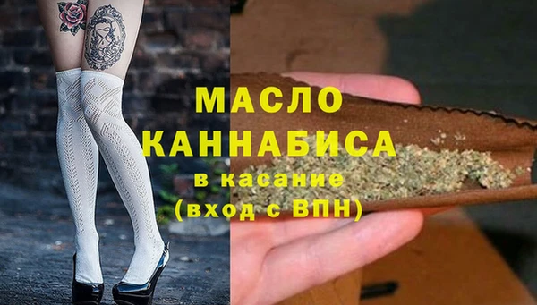 гашик Дмитров