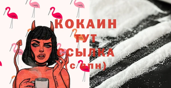 дживик Елабуга