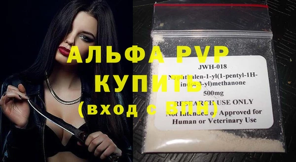 гидра Елизово