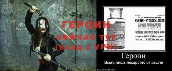 гидра Елизово