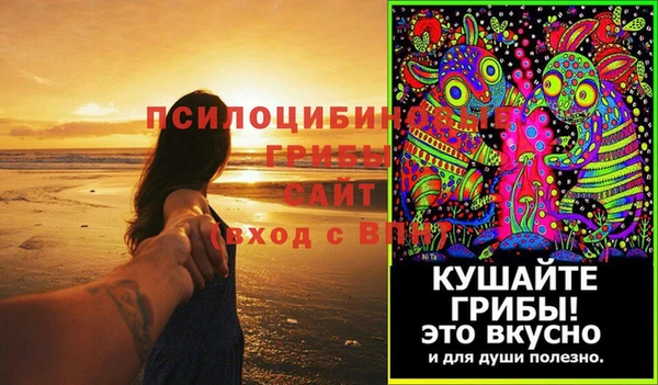 гидра Елизово