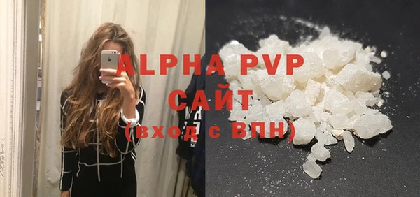 гидра Елизово