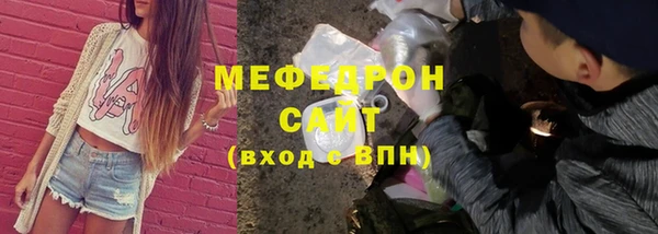 гашик Дмитров