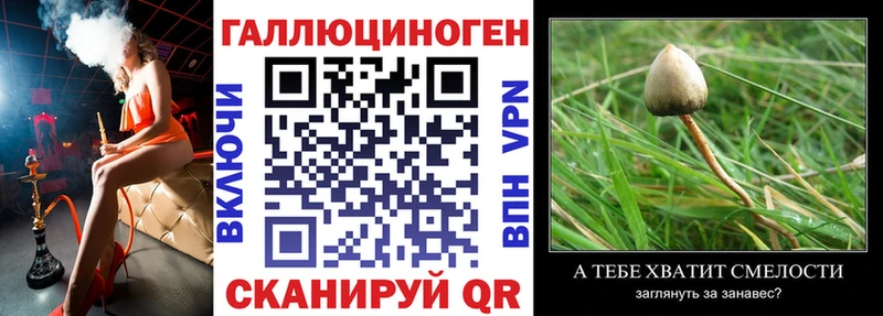 Купить  Нижнеудинск  Псилоцибиновые грибы прущие грибы 